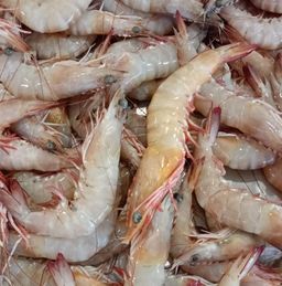 Prawns White 🇮🇳