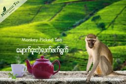 Tea Art_တာမိုးညဲ Oolong Tea Collection 