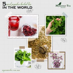 Myanmar Tea_Herbal Tea Collection