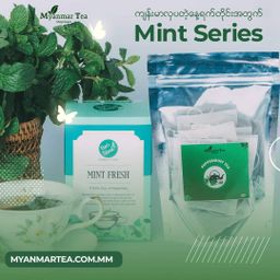 Myanmar Tea_Mint Fresh Herbal Tea Collection 