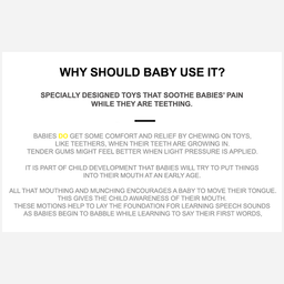 Chewable Teether w/Case