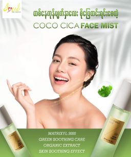 Soul_Coco Cica Face Mist