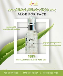 Soul_Aloe For Face