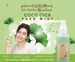 Soul_Coco Cica Face Mist