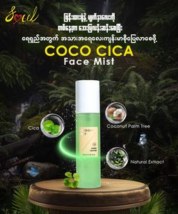 Soul_Coco Cica Face Mist