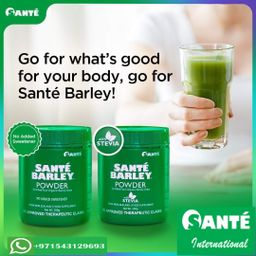 Sante Powder with Stevia &without Stevia Canister (200gms)