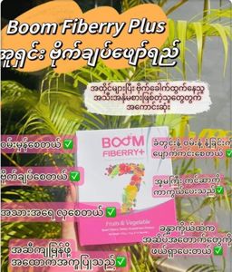 Boom_Fiberry Plus