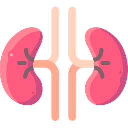 Renal Function Test 