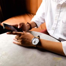 Burma Watch_Bagan Collection