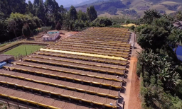 Brazil - Matas de Minas Araponga