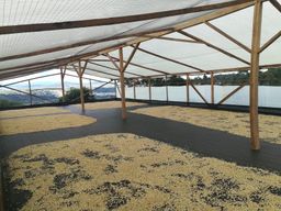 Colombia - Huila Reserve