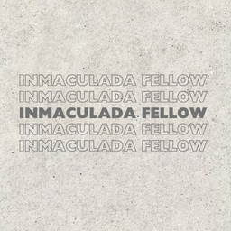 Colombia - Inmaculada Fellow