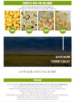 24년 햇콩나물 콩 500g x2