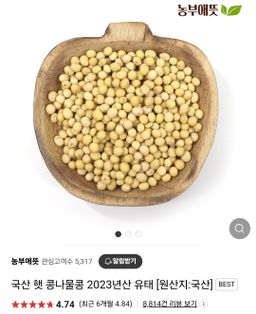 24년 햇콩나물 콩 500g x2