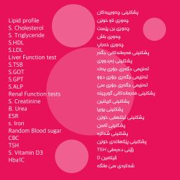  (GoldenOffer) فحص عام : پشكنینی گشتی : Whole Package Investigations 