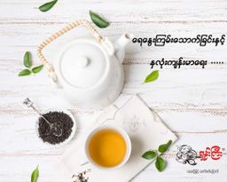 ရှမ်းကြီး_ကောက်ညှင်းမွှေး လက်ဖက်ခြောက်