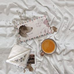 Yoke The`_ရိုးရိုး