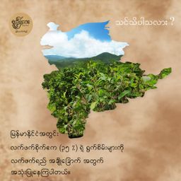 Yoke The`_ရိုးရိုး