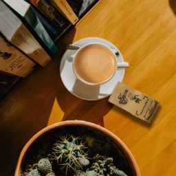 Yoke The`_ရိုးရိုး