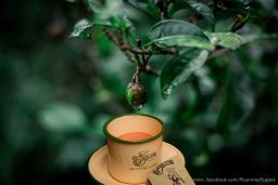 Yoke The`_Souvenior Box