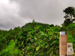 Yoke The`_Souvenior Box