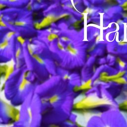 Yoke The`_Herbalious Harmony