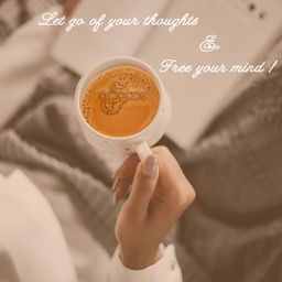 Yoke The`_ရှယ်