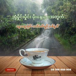 Yoke The`_ရှယ်