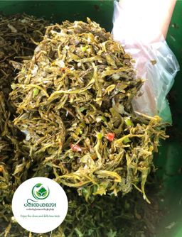 ပင်းတယသား_လက်ဖက်ညွန့်နှပ်