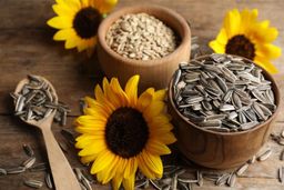 Sunflower seed