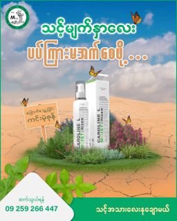 တောင်ကြီးမောက်မယ်_Caroline L Thanakha Moisturizure