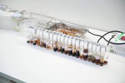 ဝုန်းဝမ်းတိုင်းရင်းဆေး_ပျားနနွင်းဆေးပြား