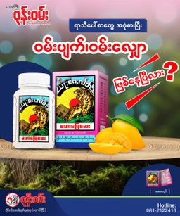 ဝုန်းဝမ်းတိုင်းရင်းဆေး_မဟာဖြေဆေး 