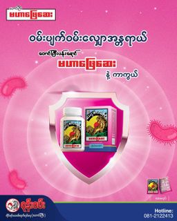 ဝုန်းဝမ်းတိုင်းရင်းဆေး_မဟာဖြေဆေး 