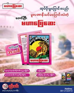 ဝုန်းဝမ်းတိုင်းရင်းဆေး_မဟာဖြေဆေး 