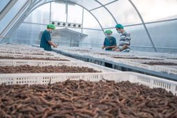 ဝုန်းဝမ်းတိုင်းရင်းဆေး_အစာကြေ လေချဉ်တက်ပျောက်ဆေး 