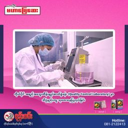 ဝုန်းဝမ်းတိုင်းရင်းဆေး_မဟာဖြေဆေး 