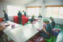 ဝုန်းဝမ်းတိုင်းရင်းဆေး_အပူဝမ်းပုပ်ချဆေး