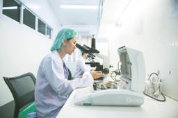 ဝုန်းဝမ်းတိုင်းရင်းဆေး_အပူဝမ်းပုပ်ချဆေး