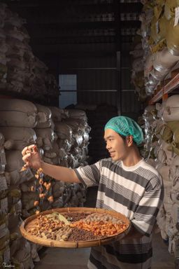 ဝုန်းဝမ်းတိုင်းရင်းဆေး_အပူဝမ်းပုပ်ချဆေး