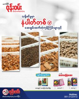 ဝုန်းဝမ်းတိုင်းရင်းဆေး_အပူဝမ်းပုပ်ချဆေး