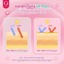 Vite` Colla_Collagen Supplement