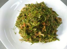 မွှေး_ကုလားပဲ အကျက်မှုန့် 