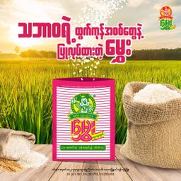 မွှေး_ဆန်ကျက်မှုန့်  