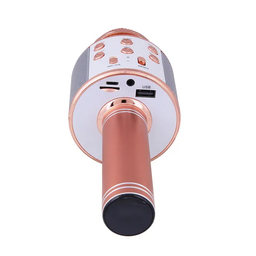 Wireless Karaoke Microphone with Speaker, Portable Handheld Karaoke Player for Home Party KTV Music Singing Playing