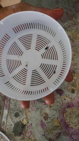 Hot Sale USB UV Lightwave Mosquito Repellent Lamp Mini Silent Mosquito Killer Lamps For Bedroom