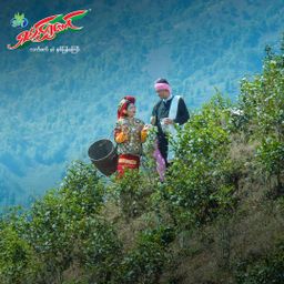 ရှမ်းရွှေတောင်_ဇယန်းညွန့်နှပ်