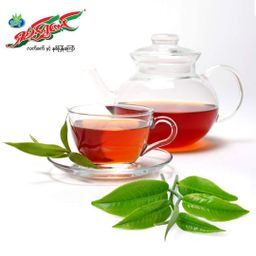 ရှမ်းရွှေတောင်_ဇယန်းညွန့်နှပ်