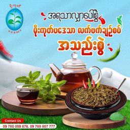 မိုးကုတ်ပဒေသာ_လက်ဖက်ချဥ်စပ်နှပ်