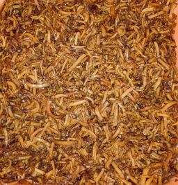 အရီးတောင်း_မှိုသင်္ကန်းကြော်